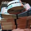 Card, Identity Cards, Credit Cards, SSN