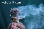 Do you need a love spell to get your lover back Tel +2763355