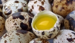 Яйца от пъдпъдъци